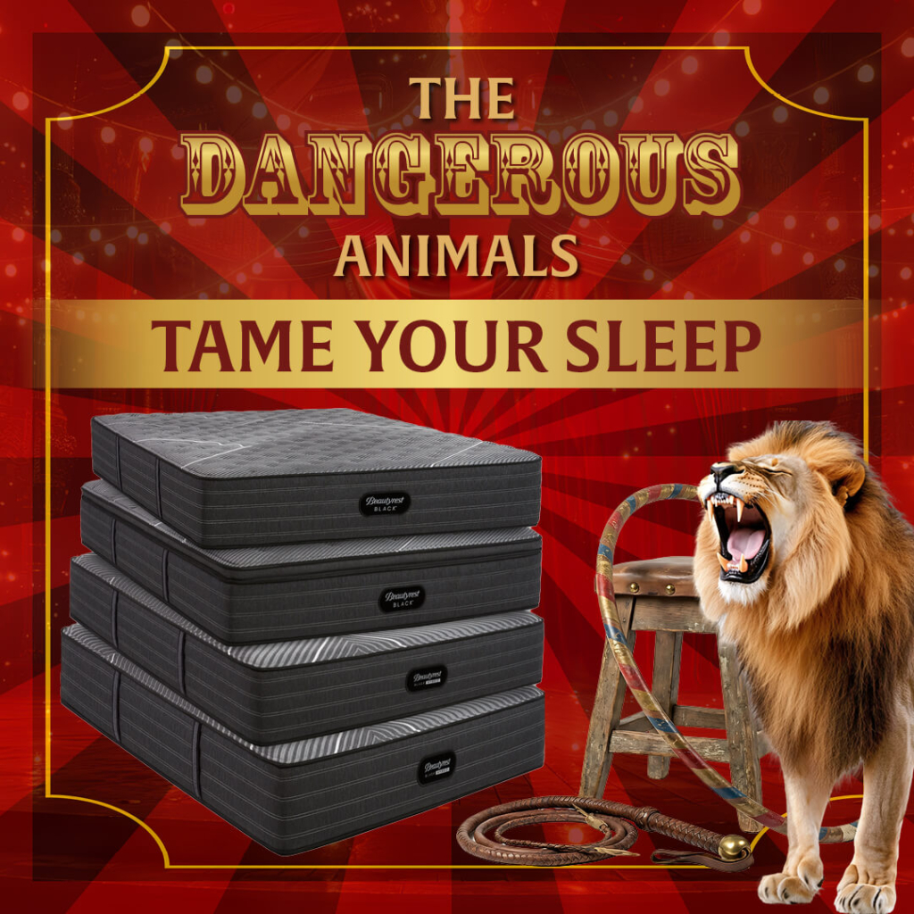 Circus-themed ad with Beautyrest mattresses and a roaring lion.